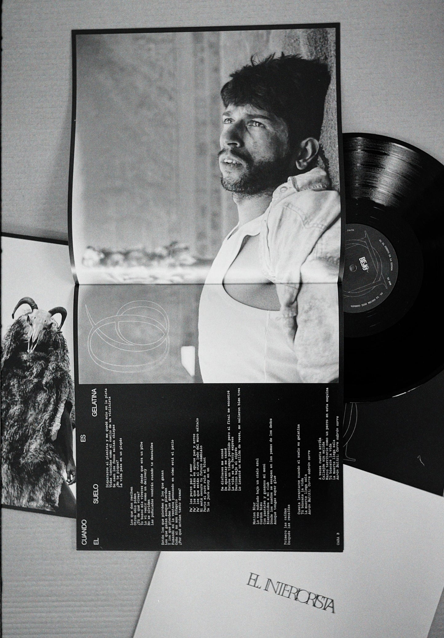 VINILO EL INTERIORISTA