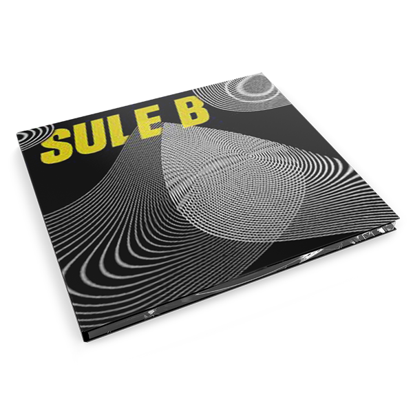 SULE B LA TEORÍA DEL CAOS