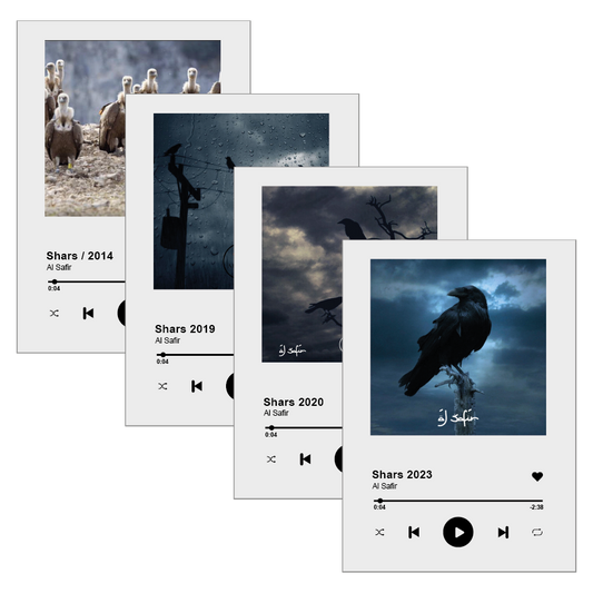 PACK SONG GLASSES FIRMADOS AL SAFIR – SHARS 2014, 2019, 2020 & 2023