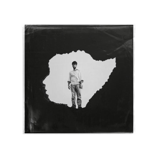 VINILO EL INTERIORISTA