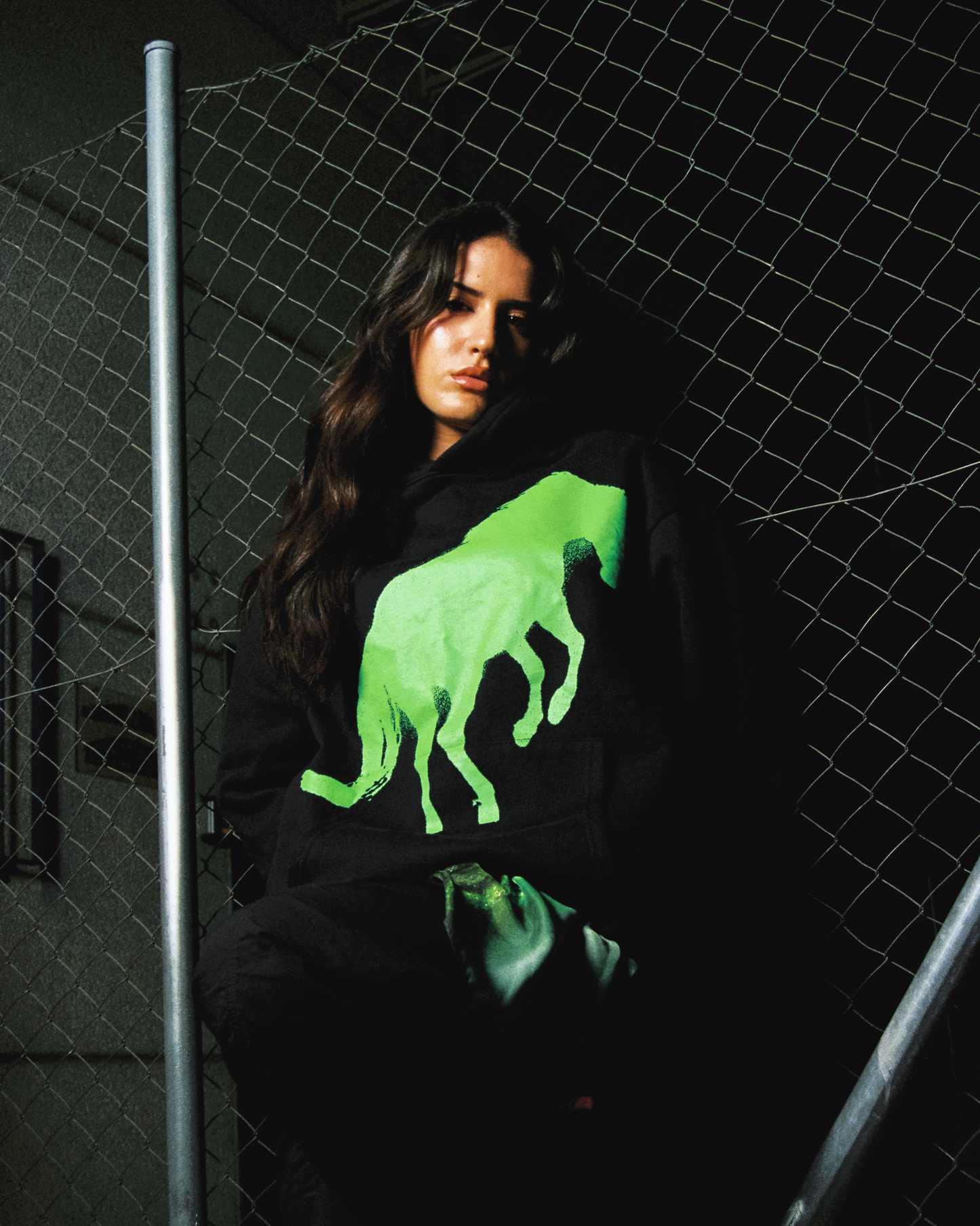 HOODIE CABALLO SJ