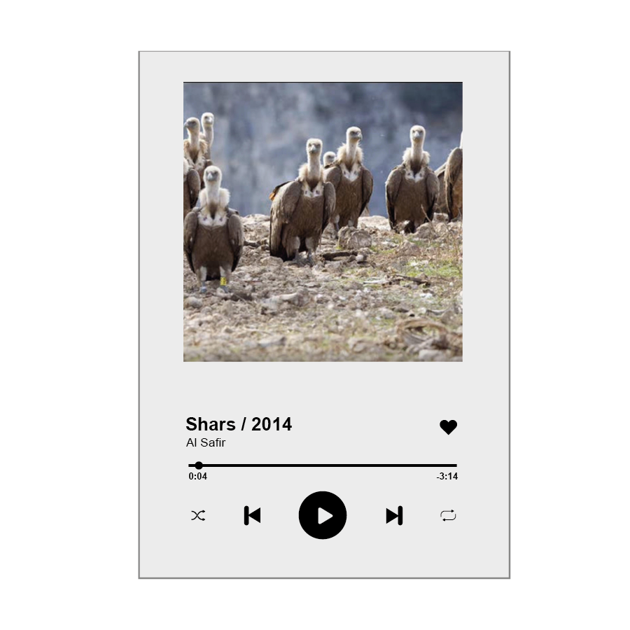 PACK SONG GLASSES FIRMADOS AL SAFIR – SHARS 2014, 2019, 2020 & 2023