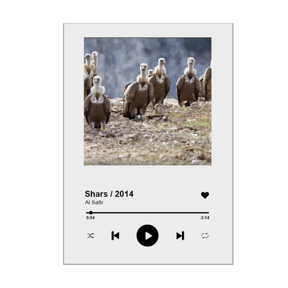 PACK SONG GLASSES FIRMADOS AL SAFIR – SHARS 2014, 2019, 2020 & 2023