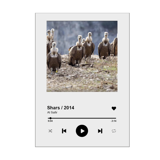 SONG GLASS FIRMADO AL SAFIR – SHARS 2014