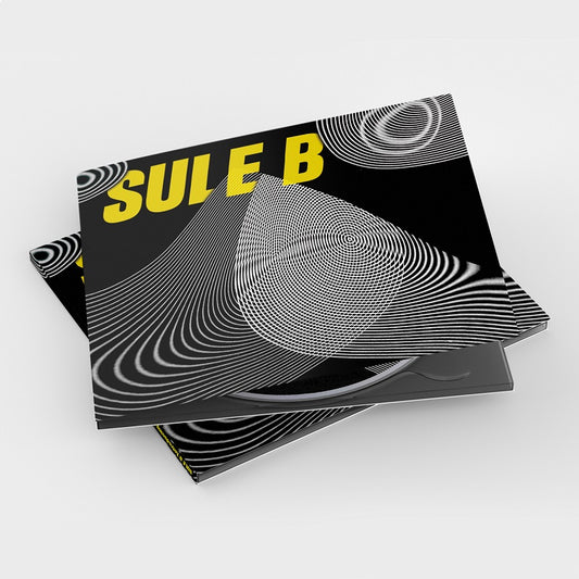 Sule B La Teoría del caos