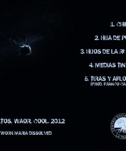 CD – HIJOS DE LA RUINA VOL. 1