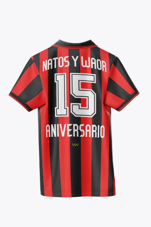 CAMISETA FÚTBOL 15 ANIVERSARIO - Imagen 2